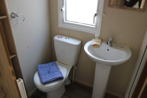 Nb166 - Porth Bay Hideaway Lejlighed New Quay Eksteriør billede